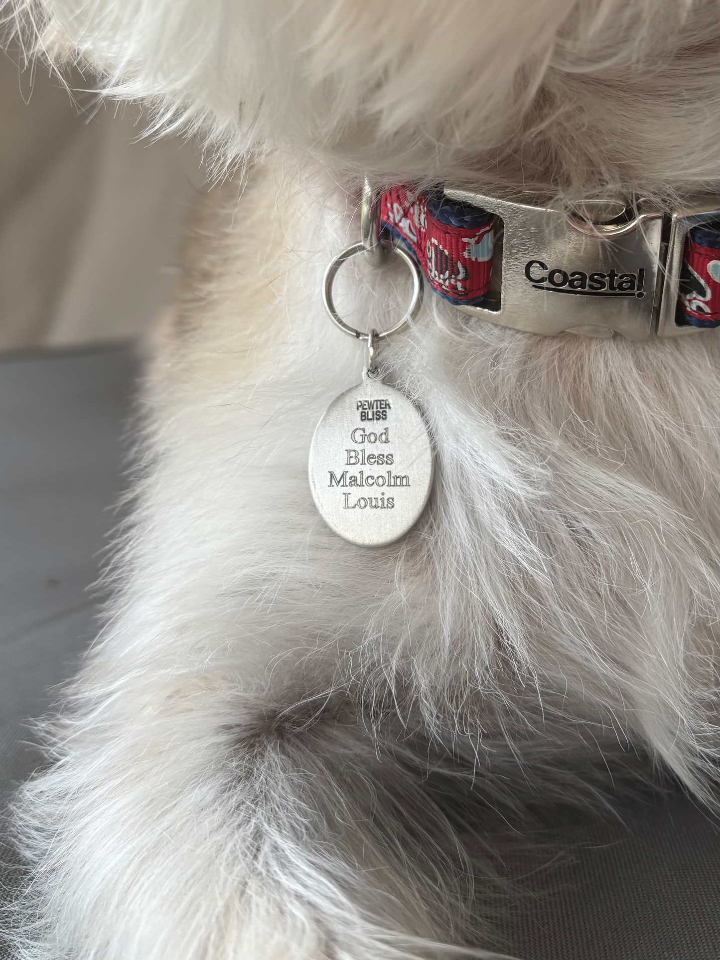Saint Medal Pet Tags with Optional Custom Engraving
