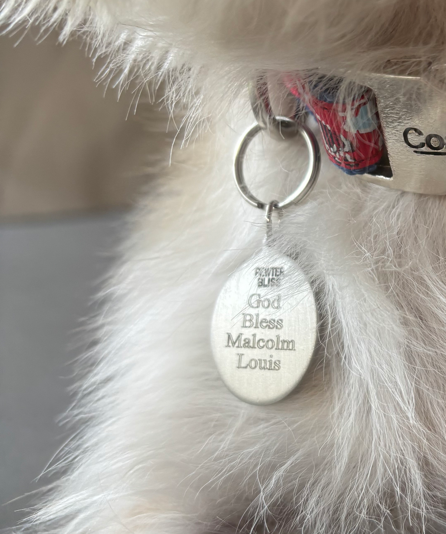 Saint Medal Pet Tags with Optional Custom Engraving